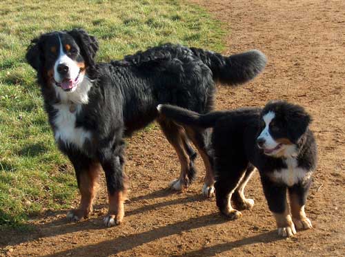 Asti and Mum Remy