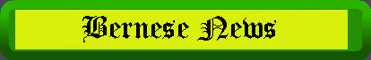 Bernese News