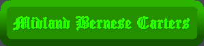 Midland Bernese Carters (UK)