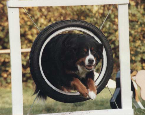 Donna and the tyre