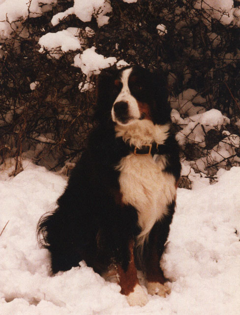 Lady in the snow